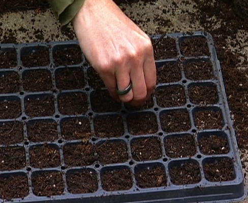 128 bandejas 1020 de pouco peso da propagação das bandejas da semente do polipropileno dos furos para o vegetal