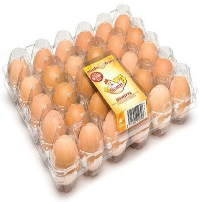 Bandeja plástica conveniente da incubadora do ovo do transporte da caixa do ovo do PVC de 8pcs 0.7mm
