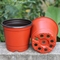 cacto superior de 15cm Dia Disposable Plastic Flower Pots plantador de 5 galões