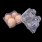 ovo quadrado plástico claro Tray Holder da bandeja 71mm do ovo do ANIMAL DE ESTIMAÇÃO 15packs descartável