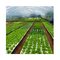 160 buracos Placa de espuma de EPS EPP flutuante para cultivo de vegetais de semente branca