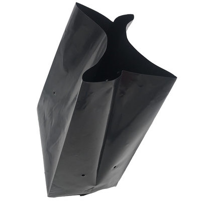 O plástico preto branco cresce sacos do berçário do saco com furos