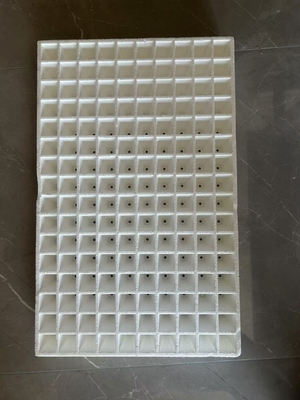 Caixa de plantação de espuma Caixa de plantação de vegetais Caixa de plantação hidropônica Caixa de plantação de pimenta branca Caixa de plantação de pimenta de espuma