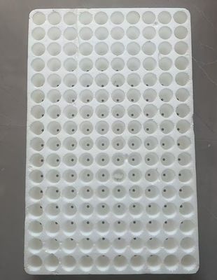 Bandeja redonda flutuante para mudas de 160 células