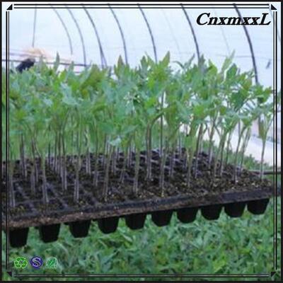 2 mm de espessura 32 50 98 108 118 200 células bandeja de sementeira de plástico para árvores da floresta - resistente ao envelhecimento e durável