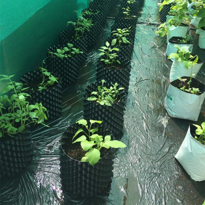 Novo Design Potes de Plantação de Flores de Ar Podas de Raiz descartáveis