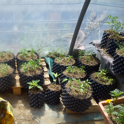 Novo Design Potes de Plantação de Flores de Ar Podas de Raiz descartáveis
