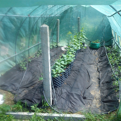 Novo Design Potes de Plantação de Flores de Ar Podas de Raiz descartáveis