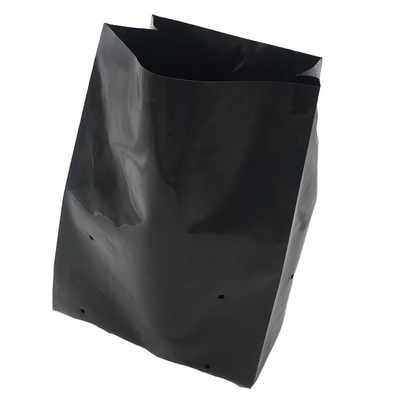Sistema de cultivo hidropônico sacos de plástico de cultivo suave gerar bolsas de infância flor de peônia