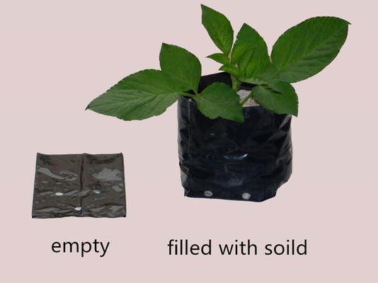 Sistema de cultivo hidropônico sacos de plástico de cultivo suave gerar bolsas de infância flor de peônia