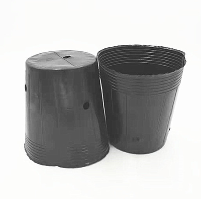 Potes de plástico HDPE para plantação de sementes de cebola cultivando potes pretos para estufas