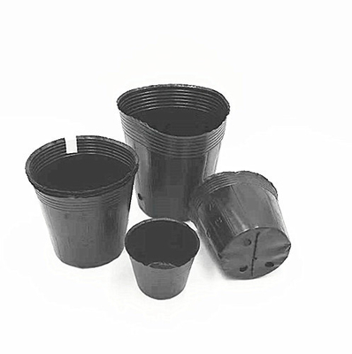 Gráfico de plástico preto blister suave sementes de flores vaso para árvore
