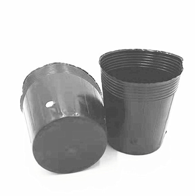 Gráfico de plástico preto blister suave sementes de flores vaso para árvore