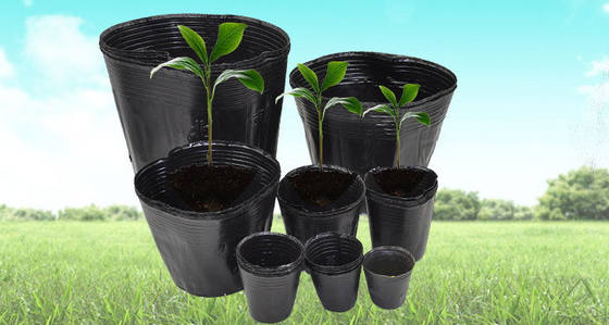 Potes de plantas hidropónicas de plástico macio, cereais, peso leve