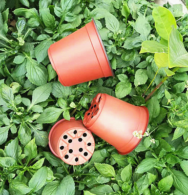 Potes de flores descartáveis de cores duplas para estufas e jardins