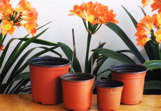 Caixa Redonda de Venda Quente Fresco Pot de Flores Hidropônico Suave resistente ao envelhecimento