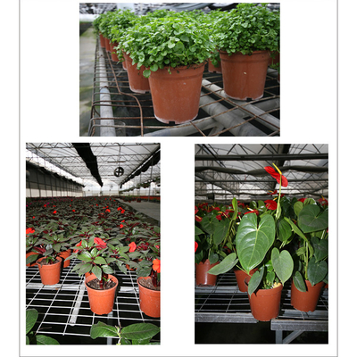 Potes de flores de plástico de cores duplas, claros e macios, pretos e pretos