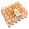 bandeja quadrada plástica empilhável do ajuste do ovo da incubadora do suporte 152mm do ovo 9pcs
