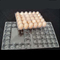 Dobrando 0.4mm bolha plástica de 30 pilhas que empacota a bandeja não tóxica do suporte do ovo do polímero