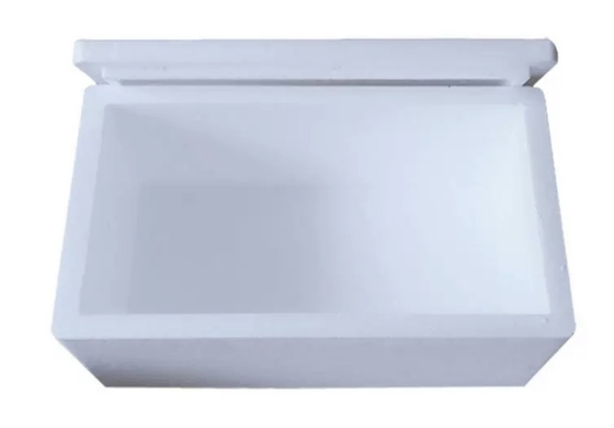 Preservação de calor Caixa de espuma de transporte de cadeia de frio EPS EPP Dimensão do material Densidade personalizada