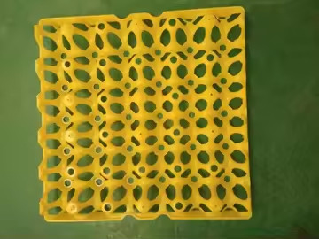 Coloured Yellow Plastic Blister Thermoformed Vacuum Plate Embalagem de ovos Transportar 30 Embalagem de ovos