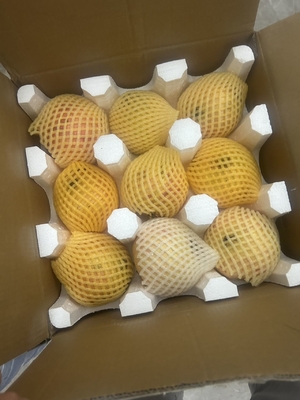 Proteção de bolhas EPS EPE EPP EVA produtos frágeis proteção de embalagens