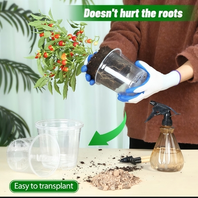 Pato de orquídeas transparente com revestimento resistente aos raios UV
