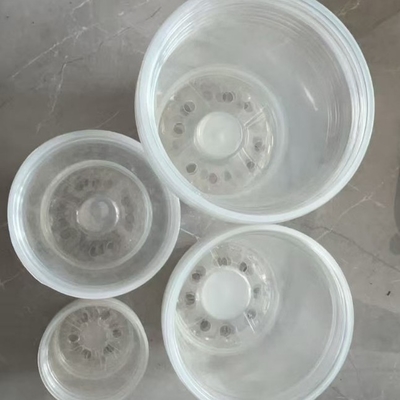 Potes de flores de Phalaenopsis transparentes com acabamento não revestido