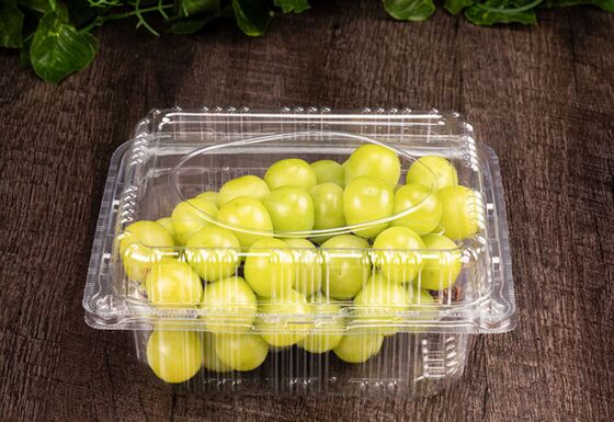 Caixa Personalizável de Embalagem de Frutas Transparente PET Reciclável com Selagem a Quente para Uvas e Tomates