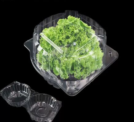 Caixa de Embalagem PET Reciclável com Design Personalizado e Selagem a Quente para Frutas e Vegetais Frescos