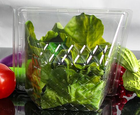 Customizable Recyclable PET Box for Fresh Vegetables and Fruits with Thermoforming Transparent Packaging