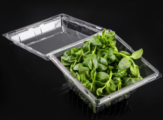Customizable Recyclable Transparent Packaging Box with Heat Sealing for Vegetables and Fruits