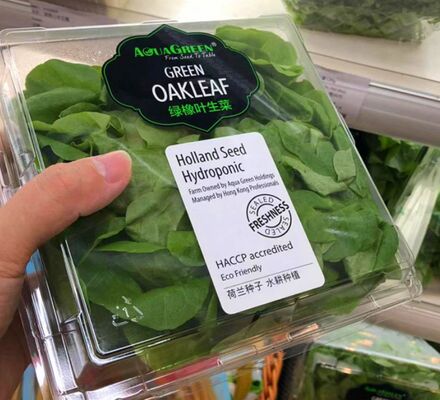 Embalagem Blister Personalizada Reciclável de Plástico PET com Selagem a Quente para Caixa de Embalagem de Frutas