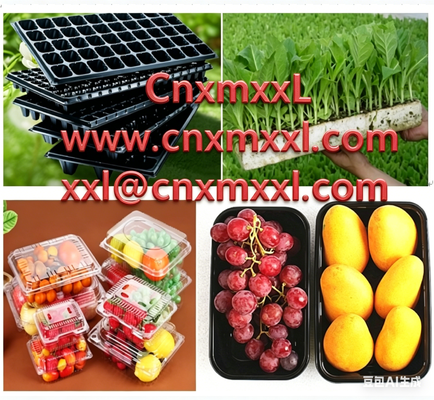Caixa de frutas descartável transparente, caixa de embalagem de morango de plástico para animais de estimação, caixa blister de embalagem de frutas e vegetais de supermercado, etiqueta de atacado