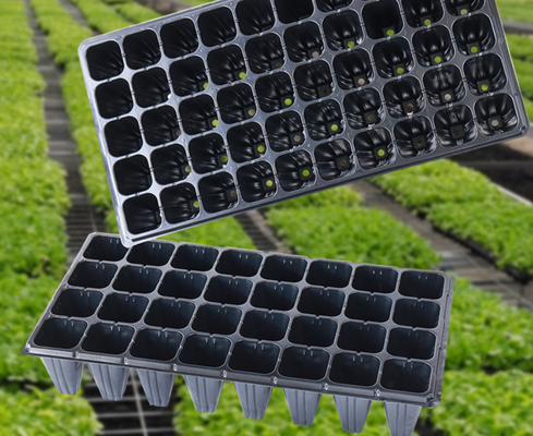 72 seedling tray, seedling holders, plastic seedling trays  seedling tray  seed starter tray   seedling starter tray