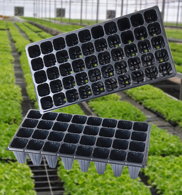 Caixas para plantações, caixas para enchufes, caixas para plantações de vegetais, recipientes de plástico para plantações, caixas para cortar plantas, tabuleiros e vasos agrícolas