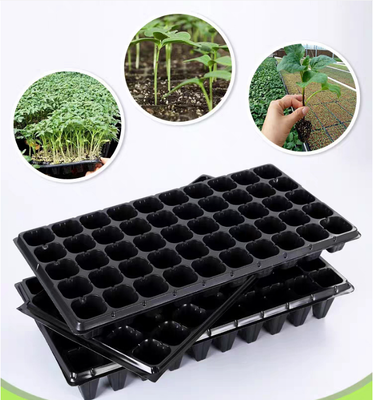 Caixas para plantação de vegetais de propósito especial, caixas de enchufe para o cultivo de vegetais, copos para o cultivo de vegetais, caixas de mudas para a agricultura, caixas agrícolas, caixas de plantação de plástico