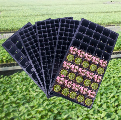 Caixa de semeadura, caixa de células, plantação de bandejas, vasos de semeadura, copos de semeadura, caixas de semeadura - tudo para sementes multifuncionais e cultivo de sementes de vegetais e brotos.