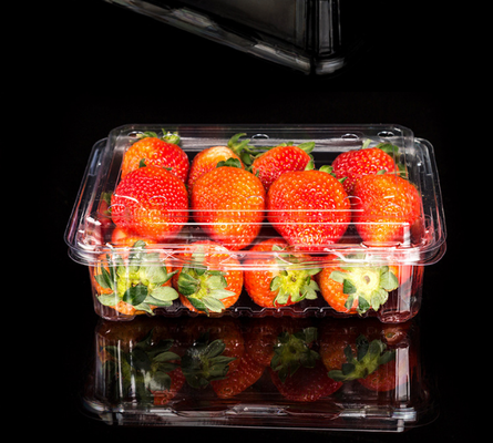 produz embalagens em bandejas de frutas, caixas de embalagens de carne, caixas de embalagens de vegetais, bandejas de mudas, vasos de plástico para flores, caixas de fast food, bem como caixas transparentes de PVC, PP, PET e caixas impressas.