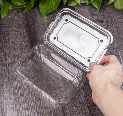 produz embalagens em bandejas de frutas, caixas de embalagens de carne, caixas de embalagens de vegetais, bandejas de mudas, vasos de plástico para flores, caixas de fast food, bem como caixas transparentes de PVC, PP, PET e caixas impressas.