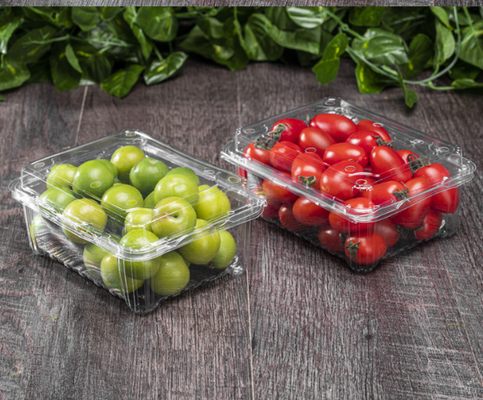 Caixas para frutas, caixas para embalagens de carne, caixas para embalagens de vegetais, caixas para plantas, vasos de plástico para flores, caixas de fast food, bem como caixas transparentes de PVC, PP e PET e caixas impressas.