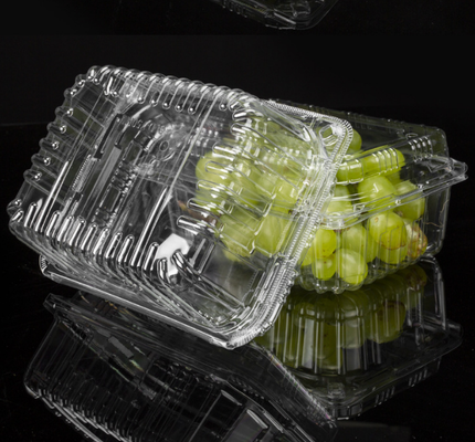 Caixas para frutas, caixas para embalagens de carne, caixas para embalagens de vegetais, caixas para plantas, vasos de plástico para flores, caixas de fast food, bem como caixas transparentes de PVC, PP e PET e caixas impressas.