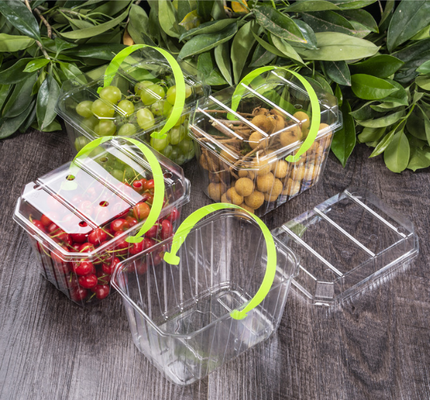 Caixas para frutas, caixas para embalagens de carne, caixas para embalagens de vegetais, caixas para plantas, caixas de fast food, bem como caixas transparentes de PVC, PP, PET e caixas impressas.