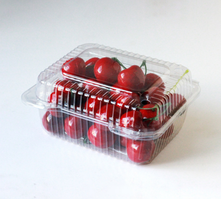 Caixas para frutas, caixas para embalagens de carne, caixas para embalagens de vegetais, caixas para plantas, vasos de plástico para flores, caixas de fast food, bem como caixas transparentes de PVC, PP e PET e caixas impressas.