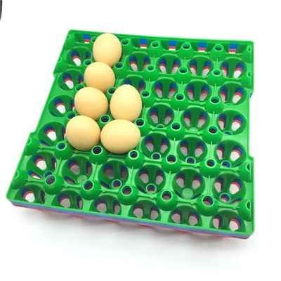 bandeja quadrada plástica empilhável do ajuste do ovo da incubadora do suporte 152mm do ovo 9pcs