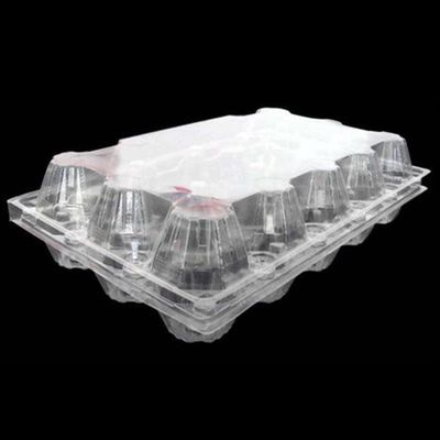 ovo quadrado plástico claro Tray Holder da bandeja 71mm do ovo do ANIMAL DE ESTIMAÇÃO 15packs descartável