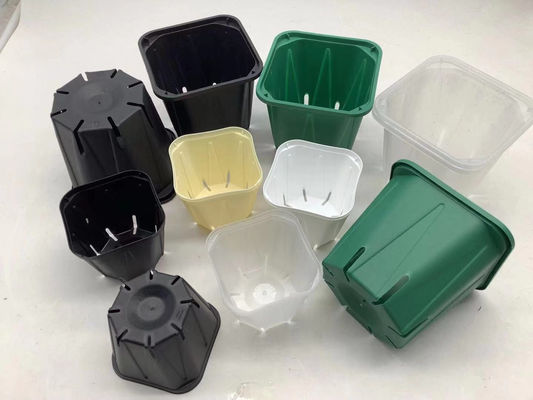 Rasgo de pouco peso do potenciômetro quadrado forte da plântula da orquídea resistente