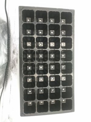 2 mm de espessura 32 células de plástico bandeja de semeadura para árvores florestais - resistente ao envelhecimento e durável