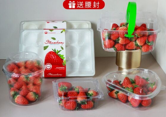 Caixa de Embalagem Personalizável de Frutas em PET Reciclável com Selagem a Quente para Tomates e Produtos Agrícolas