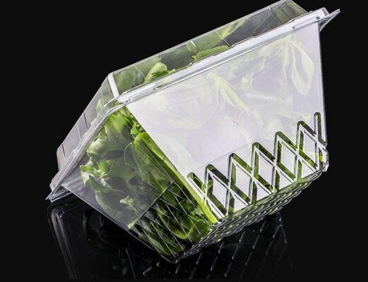 Embalagem Blister PET Reciclável com Design Personalizado e Selagem a Quente para Caixa de Embalagem Transparente para Frutas